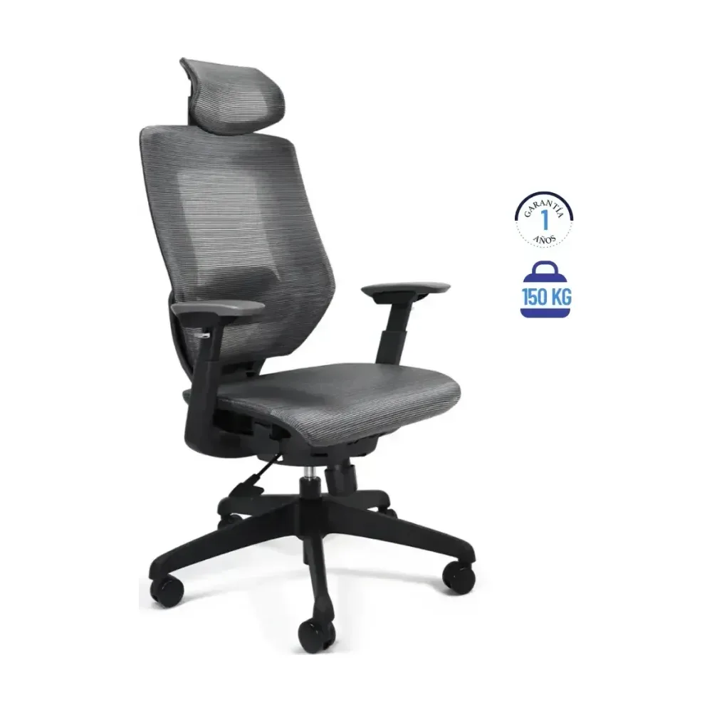 Silla directiva modelo Ucrania