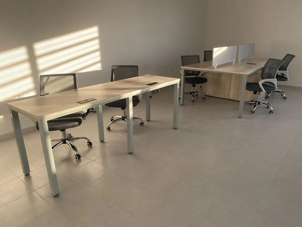 Escritorios lineales con pata metálica en oficina con luz natural