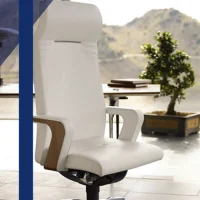 Sillas y sillones de oficina
