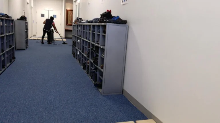 Proyecto empresa japonesa zapatero