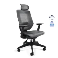 Silla directiva