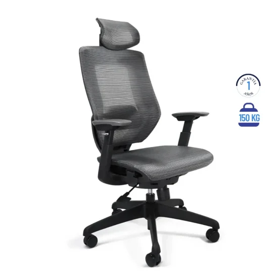 Silla directiva modelo Ucrania
