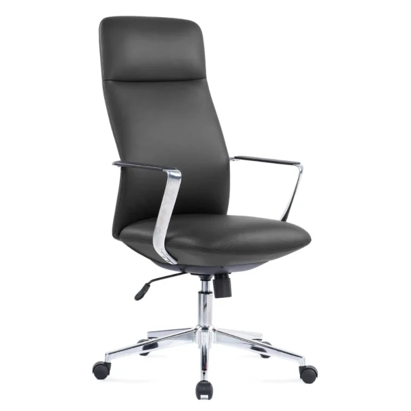 SILLA DIRECTIVA